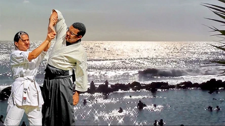 Dojo aïkido Ile de La Réunion art martial 974