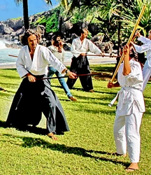 Dojo aïkido Ile de La Réunion art martial 974